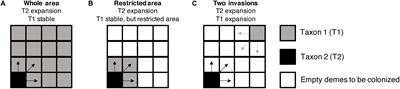 The Spatial Signature of Introgression After a Biological Invasion With Hybridization